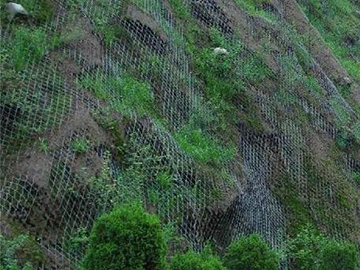 济南山体护坡网